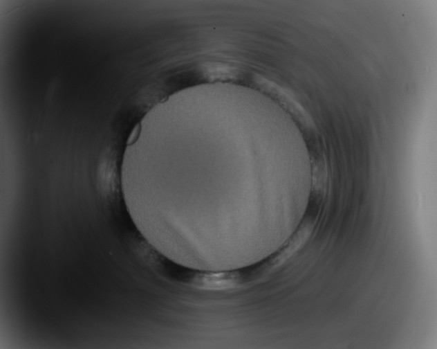 X0000087530622200705181031