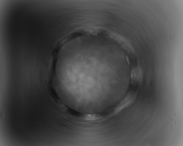 X0000087530623200705181031