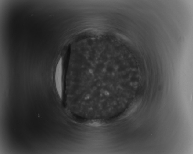 X0000087530624200705181031