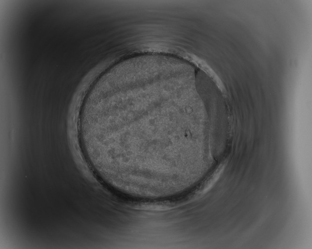 X0000087530625200705181031