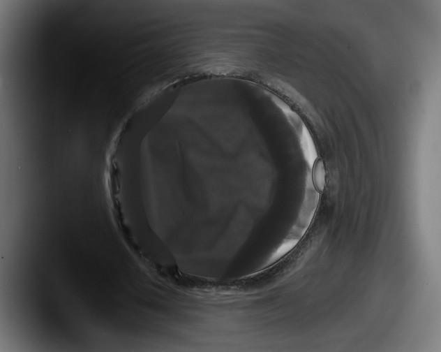 X0000087530626200705181031