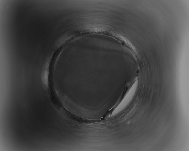 X0000087530627200705181031