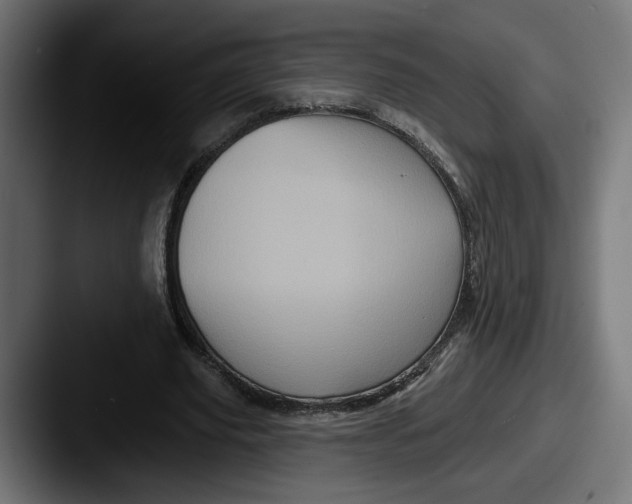 X0000087530629200705181031