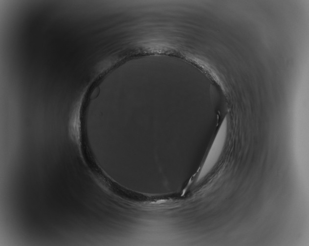 X0000087530630200705181031