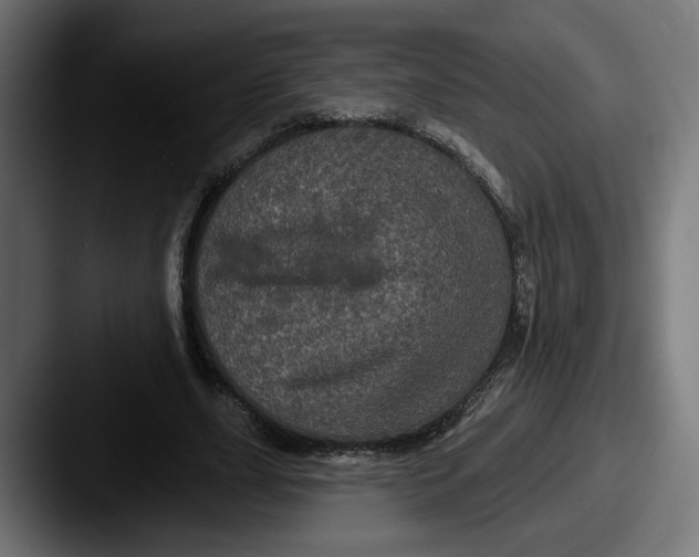 X0000087530631200705181031