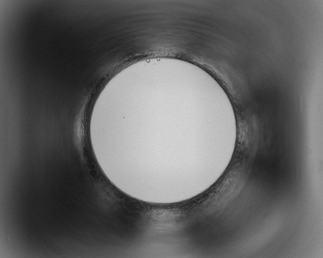 X0000087530632200705181031