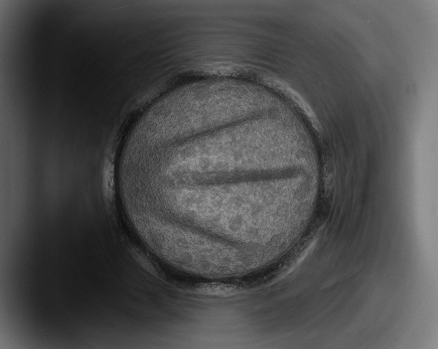 X0000087530633200705181031