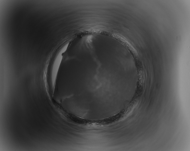 X0000087530634200705181031