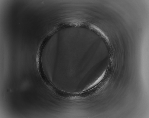 X0000087530637200705181031