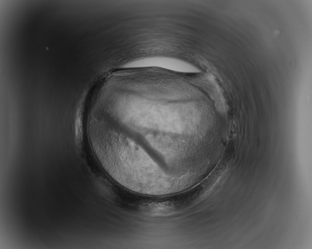 X0000087530638200705181031