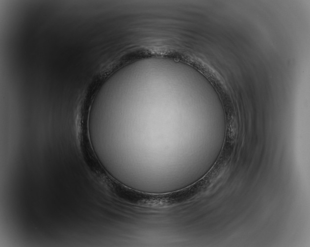 X0000087530639200705181031