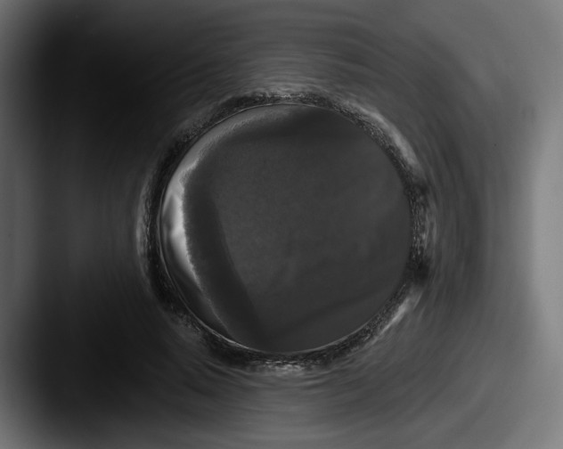 X0000087530640200705181031