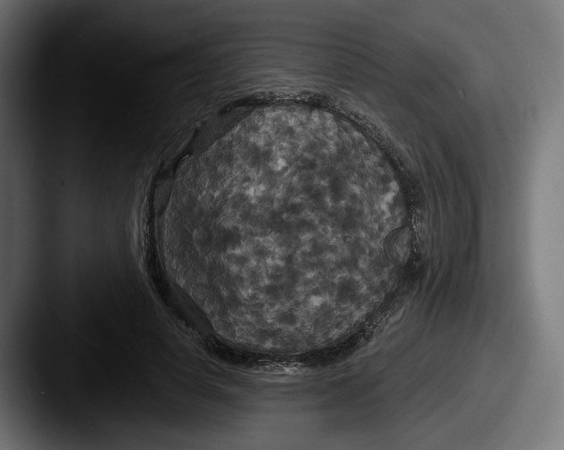 X0000087530642200705181031