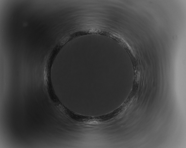 X0000087530643200705181031