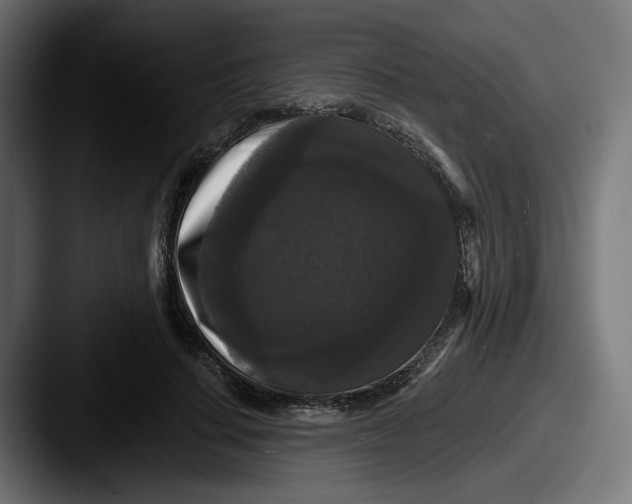 X0000087530644200705181031