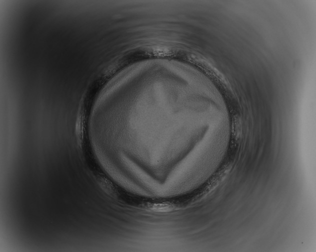 X0000087530645200705181031