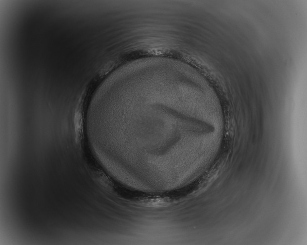 X0000087530646200705181031