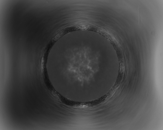 X0000087530647200705181031