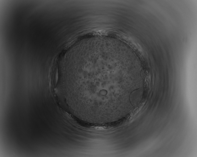 X0000087530649200705181031