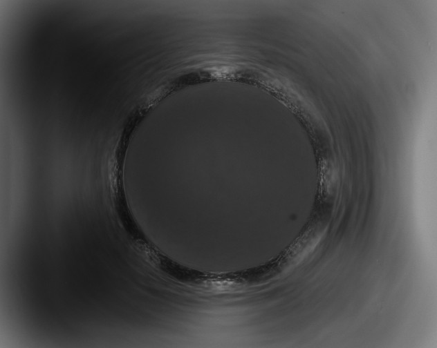 X0000087530650200705181031