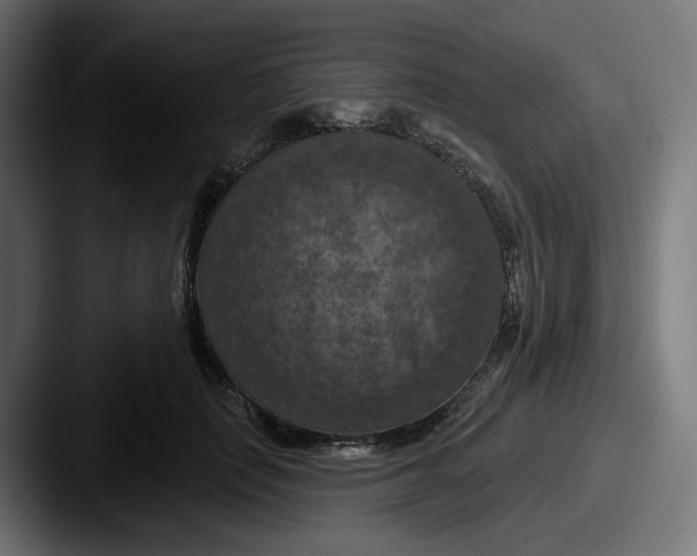 X0000087530651200705181031