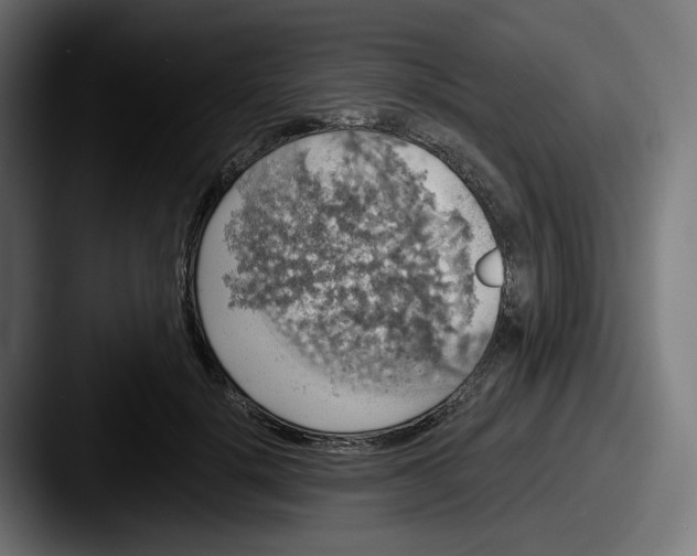 X0000087530652200705181031