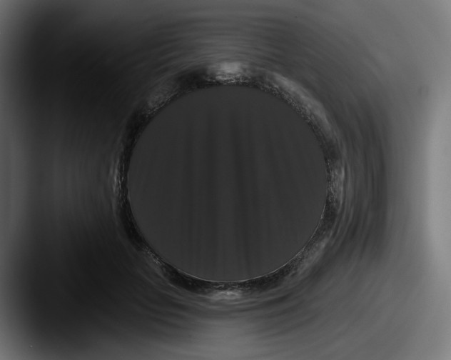 X0000087530653200705181031