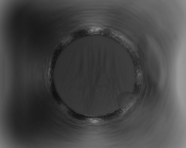 X0000087530654200705181031
