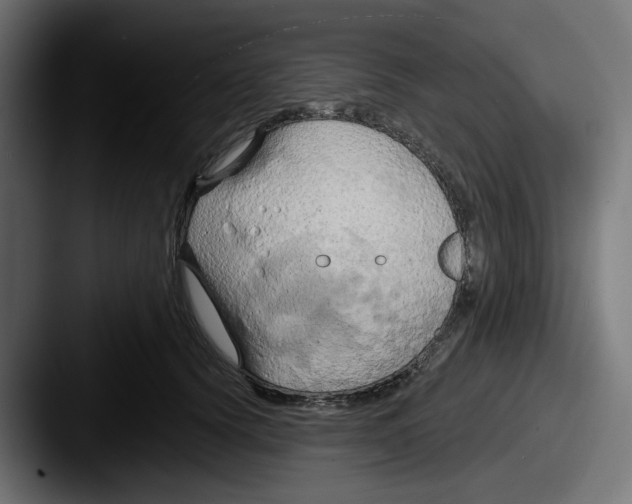 X0000087530656200705181031