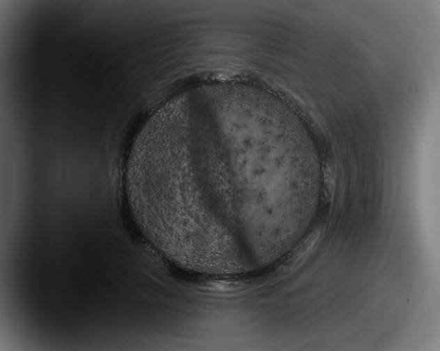 X0000087530657200705181031