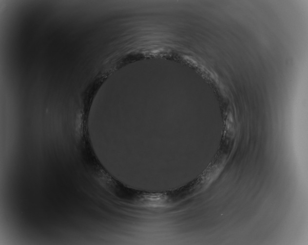 X0000087530659200705181031