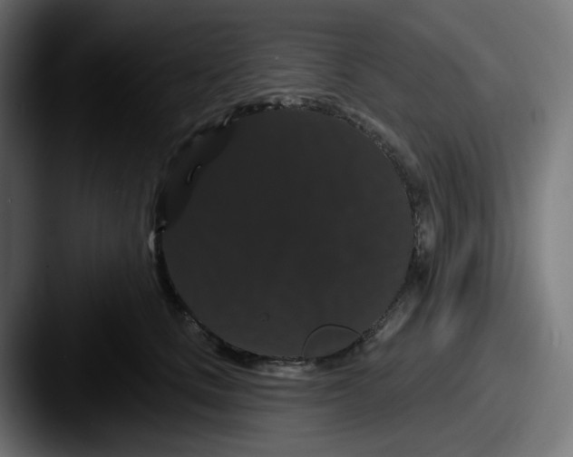 X0000087530661200705181031