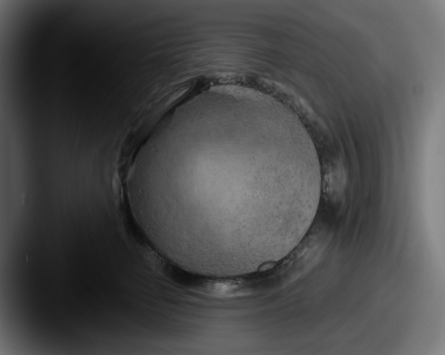 X0000087530662200705181031