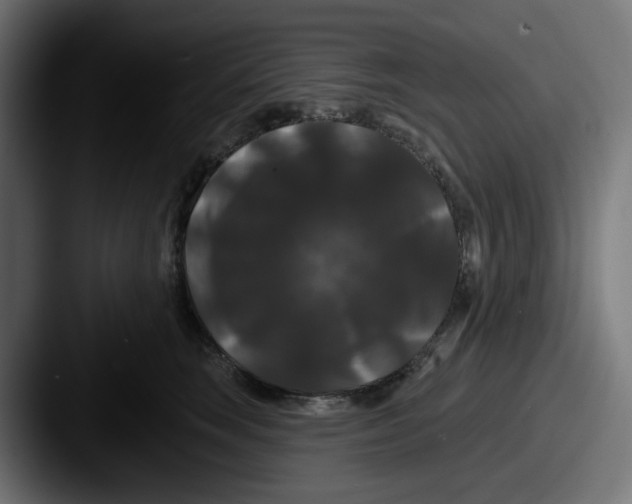 X0000087530663200705181031