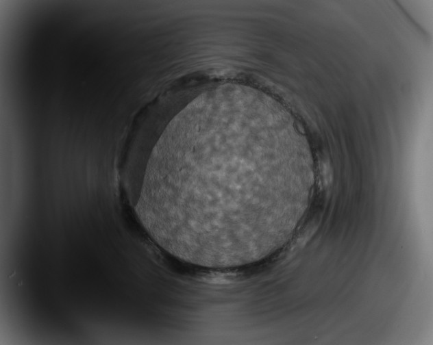 X0000087530664200705181031