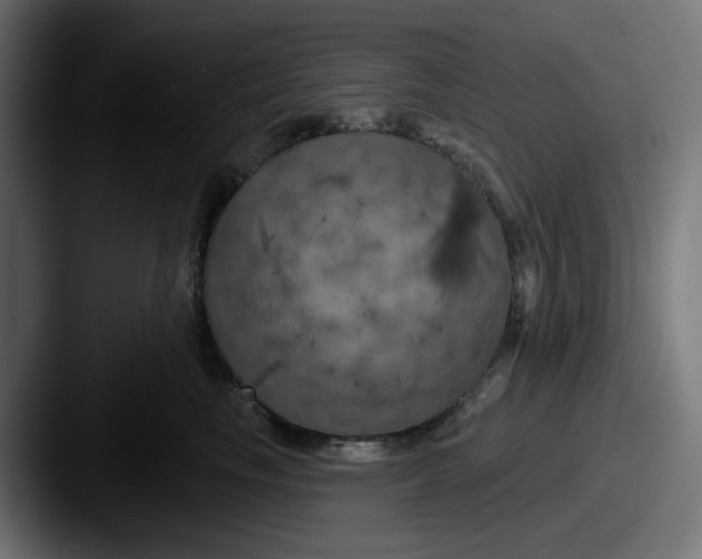 X0000087530665200705181031