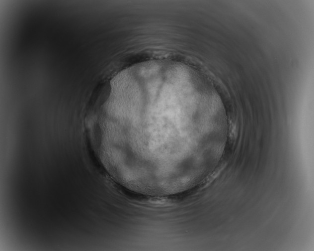 X0000087530666200705181031