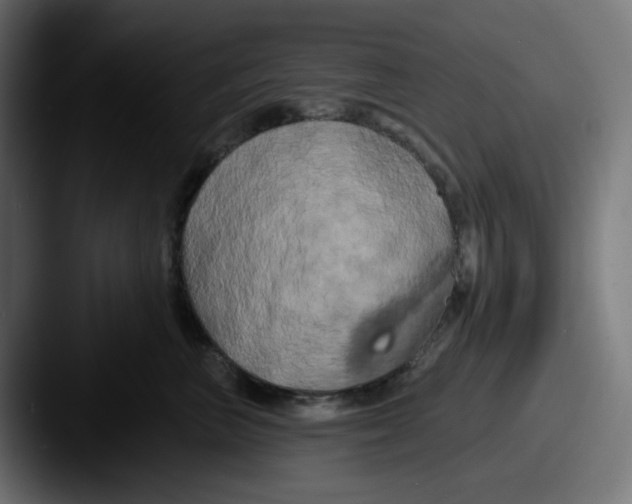 X0000087530667200705181031