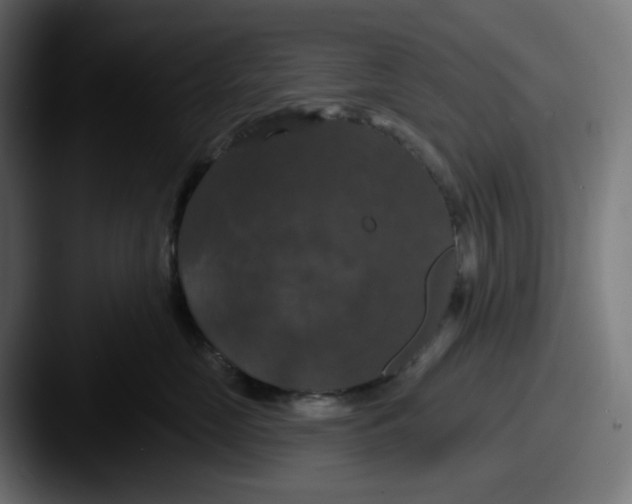 X0000087530669200705181031