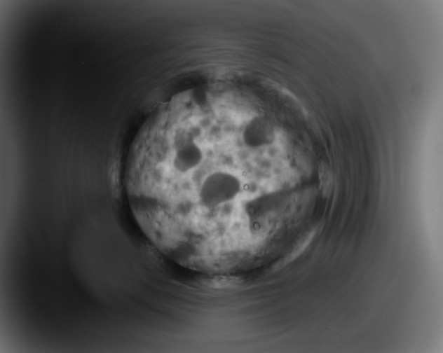 X0000087530670200705181031