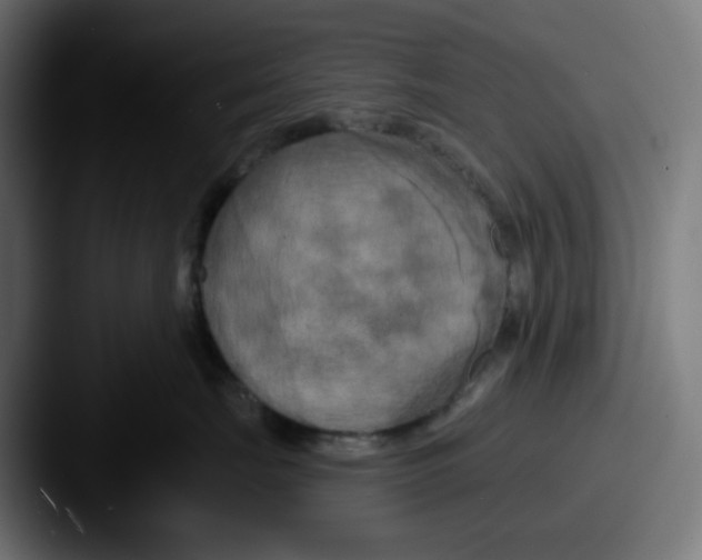 X0000087530671200705181031