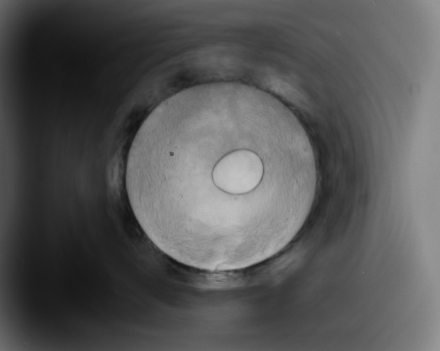 X0000087530672200705181031