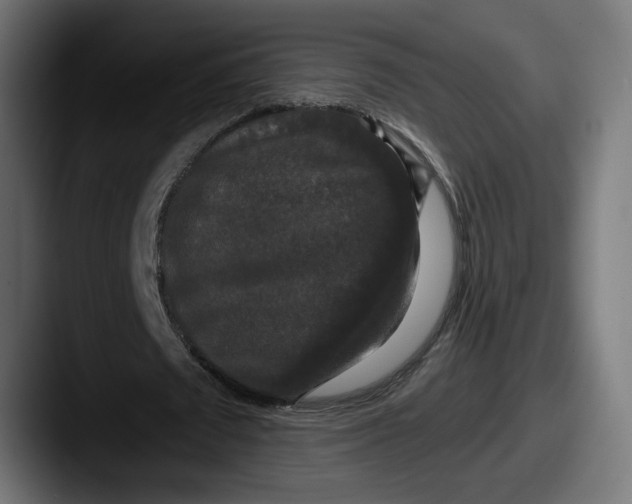 X0000087530673200705181031