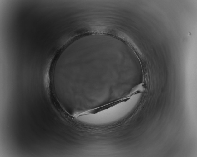 X0000087530674200705181031