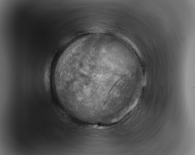 X0000087530675200705181031