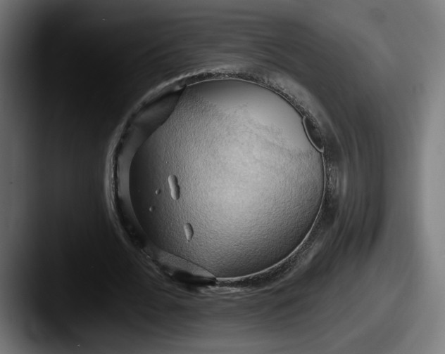 X0000087530676200705181031