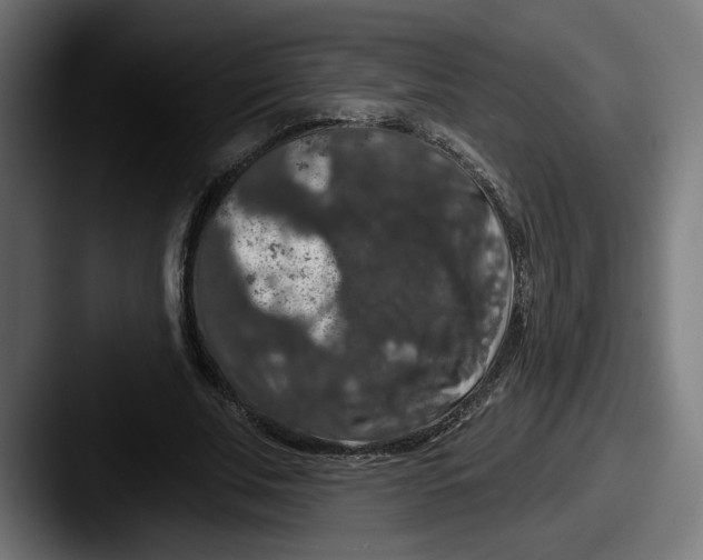 X0000087530679200705181031