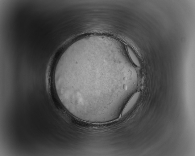 X0000087530680200705181031