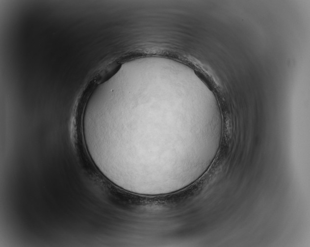 X0000087530682200705181031