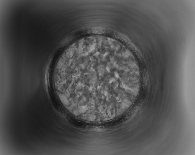 X0000087530683200705181031